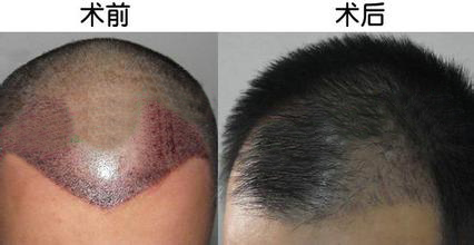 f0abfe35d5957c9aceeca1bd2581e029.jpg