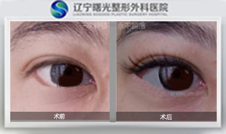 20130110101922735.jpg